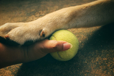 Similar image 8695677