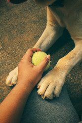 Similar image 8695680