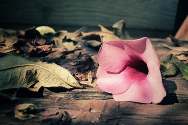 Similar image 8695681