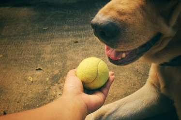 Similar image 8695685