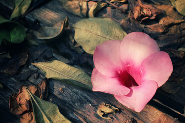 Similar image 8695687