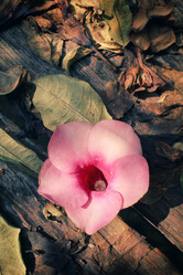 Similar image 8695691