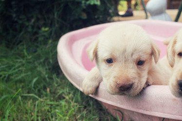 Similar image 8695694