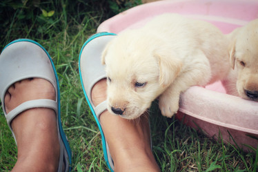 Similar image 8695697