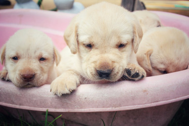 Similar image 8695746