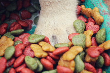 Similar image 8695750