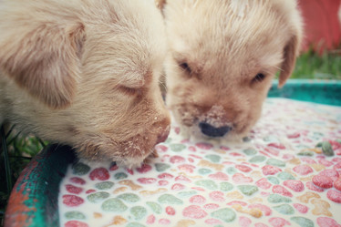 Similar image 8695755