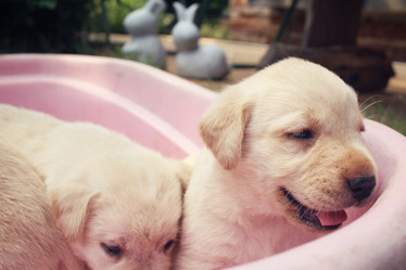 Similar image 8695759