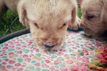 Similar image 8695761