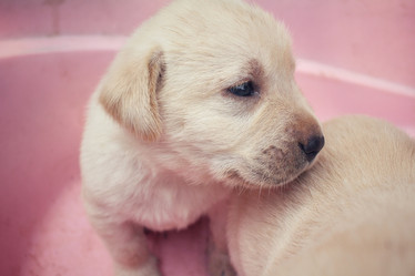 Similar image 8695762