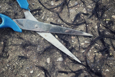 Similar image 8695767