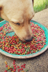 Similar image 8695771