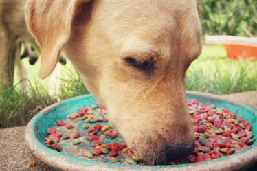 Similar image 8695772