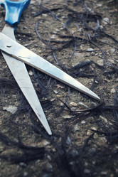 Similar image 8695776