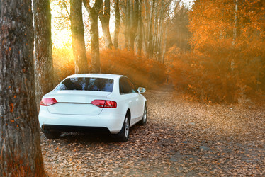 Similar image 8723602