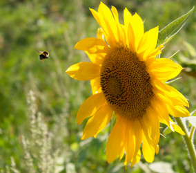 Similar image 8723607