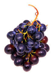 Similar image 8723616