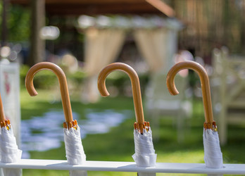 Similar image 8723618