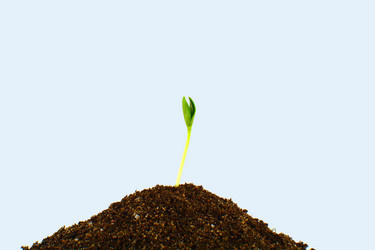 Similar image 8723712