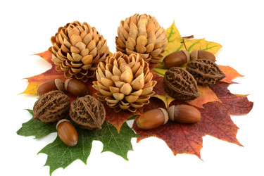 Similar image 8723714