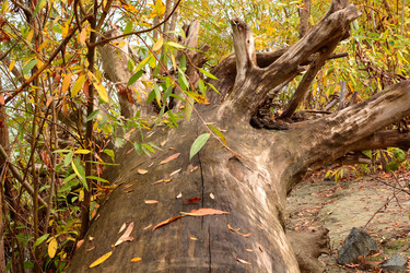 Similar image 8723720