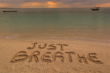 Similar image 8723779