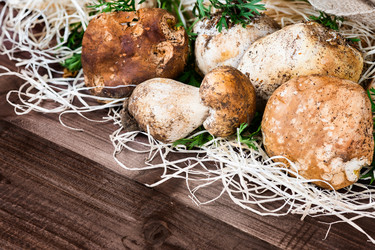 Similar image 8723787