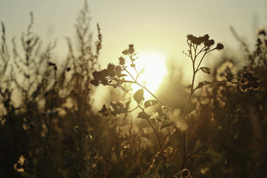 Similar image 8723795