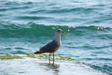 Similar image 8723801