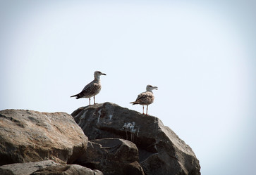 Similar image 8723805