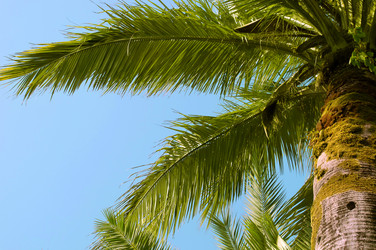 Similar image 8723811