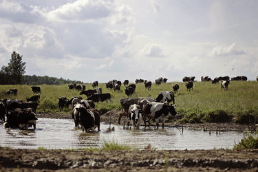 Similar image 8723863