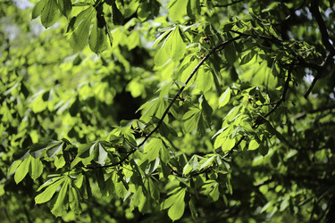 Similar image 8723868