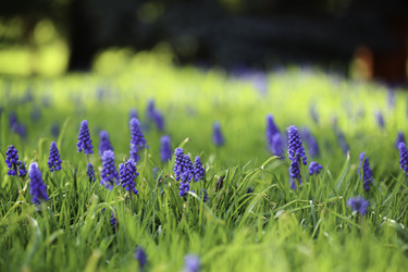 Similar image 8723871