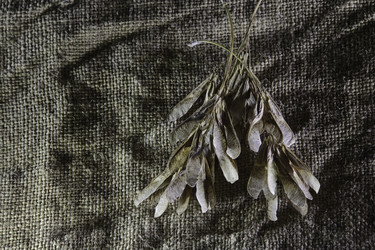 Similar image 8723873