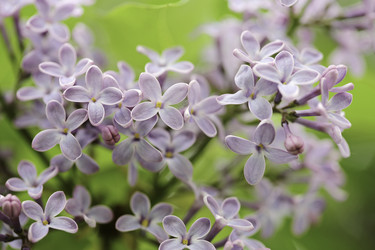 Similar image 8723875