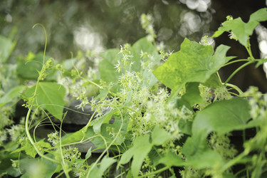 Similar image 8723885