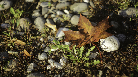 Similar image 8723886