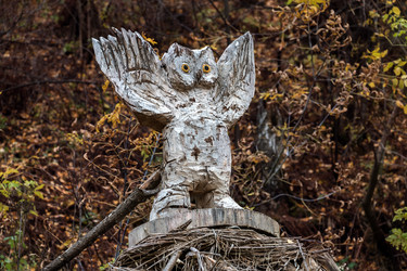 Similar image 8723890