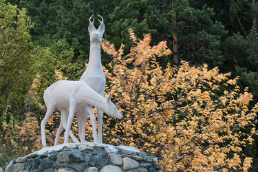 Similar image 8724042