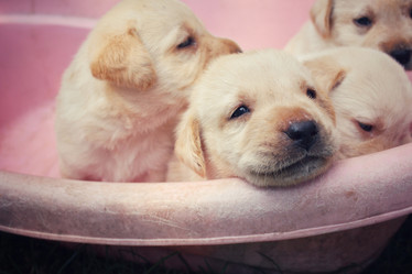 Similar image 8724683