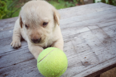 Similar image 8724692