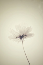 Similar image 8724694