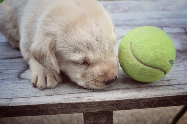 Similar image 8724696