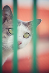 Similar image 8724758