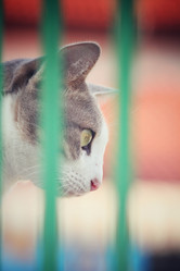 Similar image 8724761