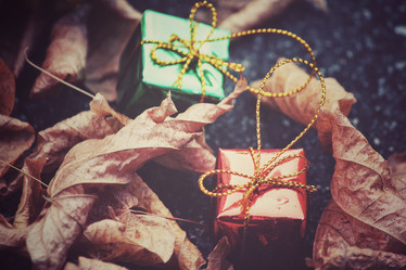 Similar image 8724763