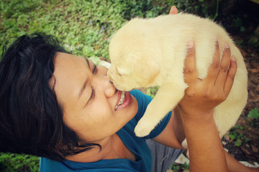 Similar image 8724770