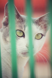 Similar image 8724783