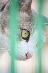 Similar image 8724785